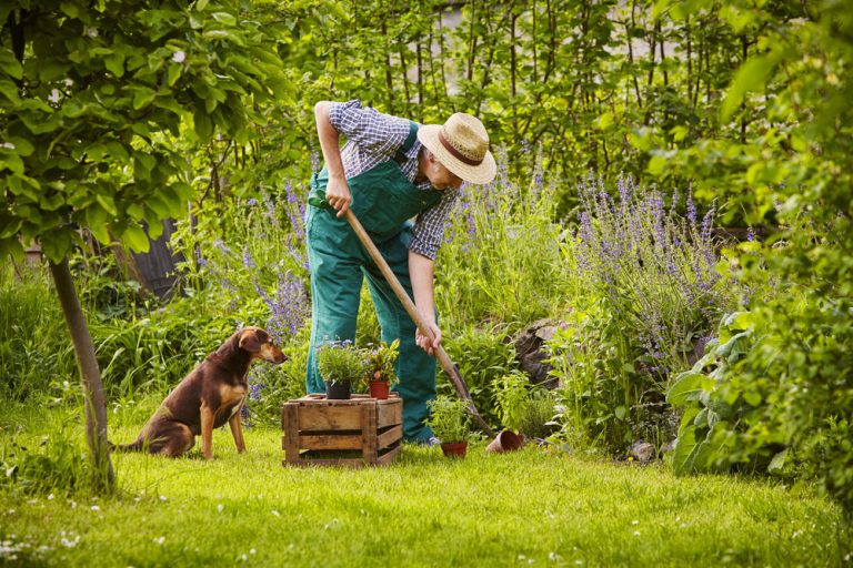 Potvrdené vedcami: Ak chceš byť šťastný, staň sa záhradkárom!