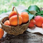 Marhule - kráľovné skorého leta