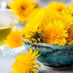 5 jarných liečiviek, ktoré občas nazývame burinou