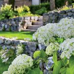 Na návšteve: Premena starej mestskej záhrady