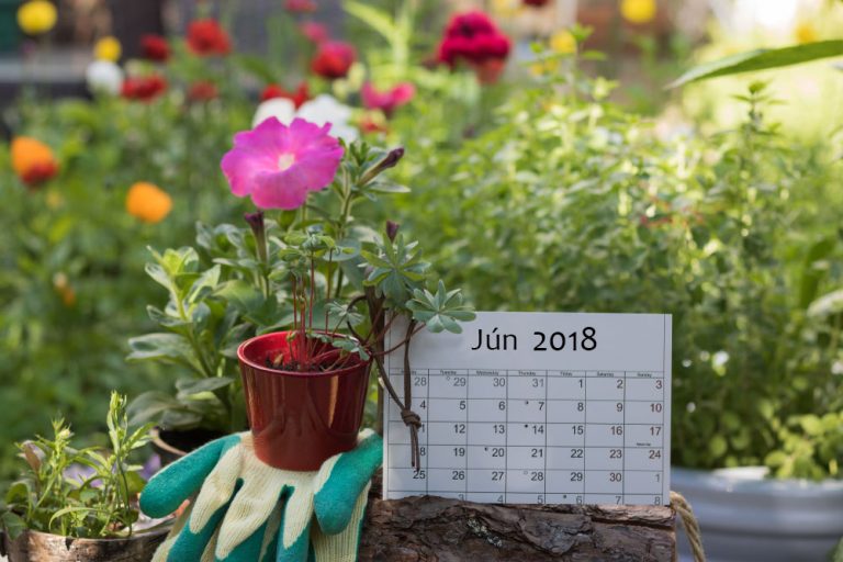 Lunárny kalendár pre záhradu a domácnosť - jún 2018