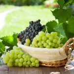 Dopestujme hrozno bez chémie