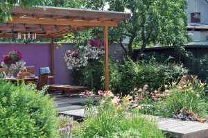 Na návšteve: Kvetinová záhrada s pergolou