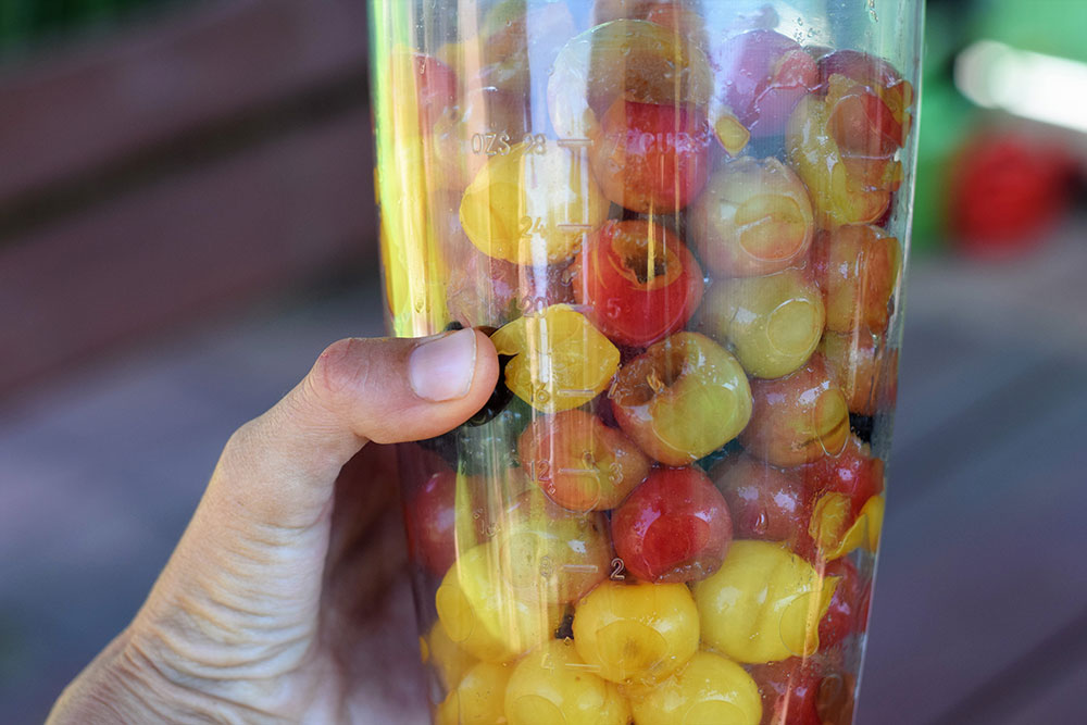 Malé, guľaté, žlté či červené, s kôstkami, veľmi šťavnaté, cukornaté a kyslé zároveň, plné vitamínov a minerálov.