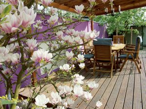 Na návšteve: Kvetinová záhrada s pergolou