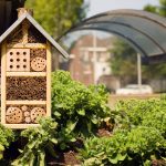 Prečo do záhrady umiestniť domček pre hmyz