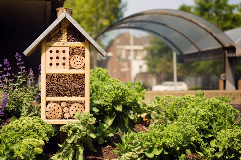 Prečo si do záhrady umiestniť domček pre hmyz