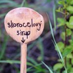 skorocelovy sirup