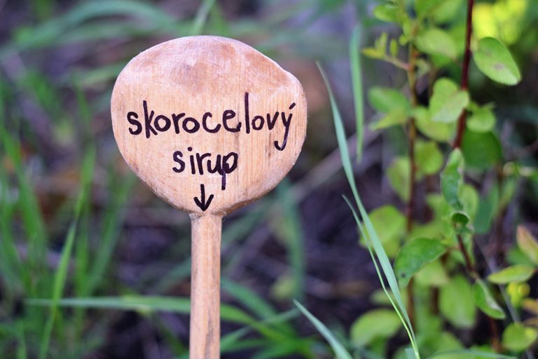 skorocelovy sirup