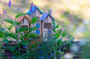 Ako si vyrobiť domček pre hmyz