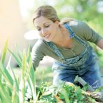 Týchto pár dôležitých krokov vám pomôže udržať letničky a trvalky kvitnúce až do jesene