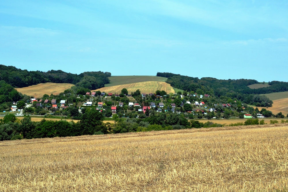 DSC_8955