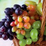 Milujete hrozno? Správna výsadba je prvým krokom k úrode