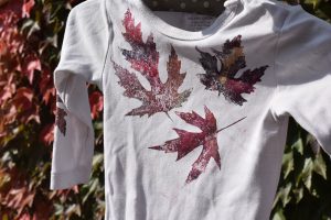 Jesenná móda záhradkára: Skúste recept na originálny dizajn! 
