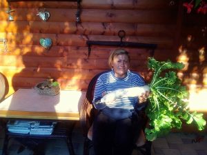 Poznáte kormošky? Záhradkári z východu pestujú pôvodné odrody i exotické ovocie