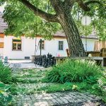 Na návšteve: Odvážna premena vidieckeho dvora