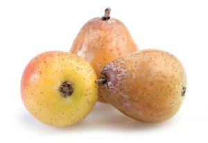 Spoznajte oskorušu, jeden z najcennejších ovocných druhov