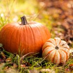 Netradičné tekvicové recepty a všetko, čo ste o tekvici možno nevedeli