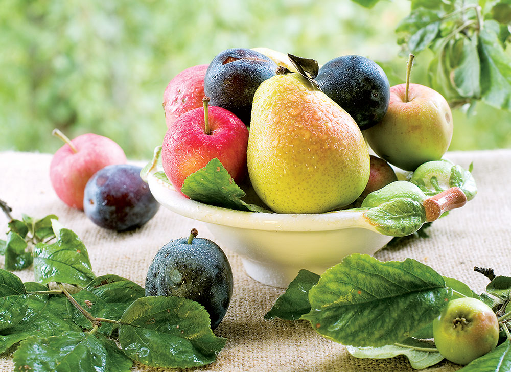 shutterstock_84667453