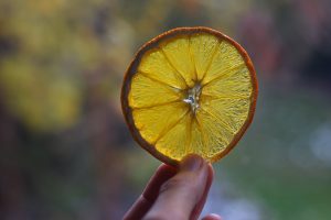 Sušený pomaranč