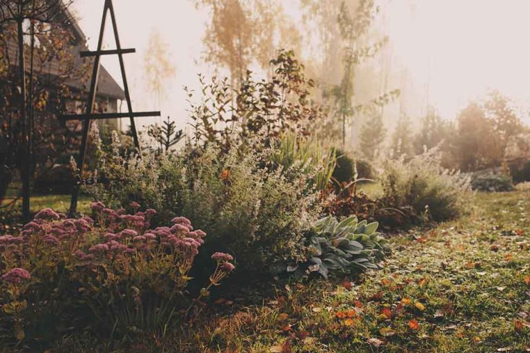 8 najdôležitejších krokov pri zazimovaní okrasnej záhrady