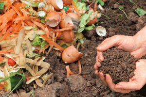 https://www.istockphoto.com/photo/compost-with-composted-earth-gm479440915-36231296