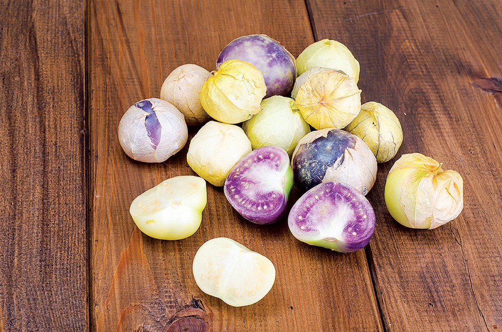 shutterstock_1157277337