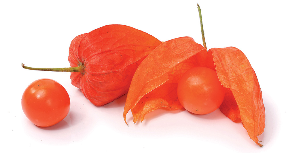 Machovka má viac vitamínu C ako citrón a obsahom výživových látok predčí aj goji