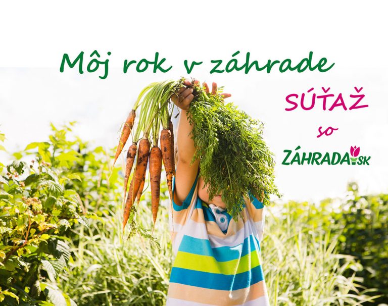 Staň sa aj ty súčasťou Záhrada.sk, vytvor si album a vyhraj jednu z cien - výhercovia