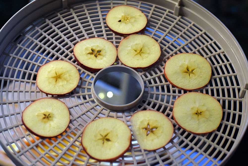 Sušenie jablkových plátkov