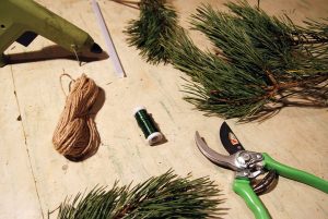 Stavte na tradičnú voňavú zeleň počas Vianoc. Ktoré druhy áno a ktoré nie?