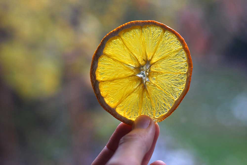 Usušený plátok pomaranča