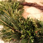 Stavte na tradičnú voňavú zeleň počas Vianoc. Ktoré druhy áno a ktoré nie?