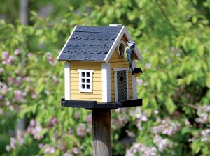 Vtáčie búdky v záhrade: Máme pre vás pravidlá, ktorých by ste sa mali držať
