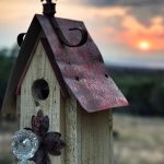 Vtáčie búdky v záhrade: Máme pre vás pravidlá, ktorých by ste sa mali držať