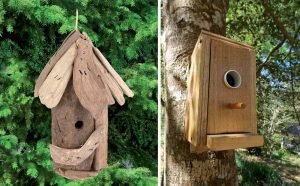 Vtáčie búdky v záhrade: Máme pre vás pravidlá, ktorých by ste sa mali držať