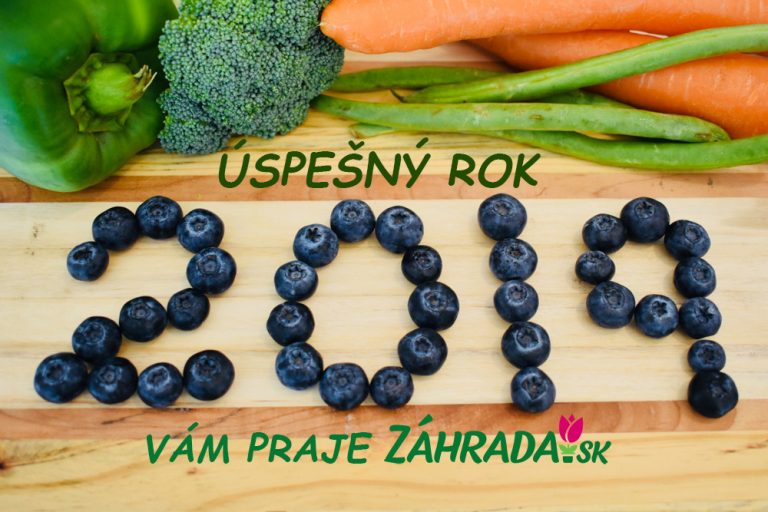 Prajeme úspešný rok 2019!