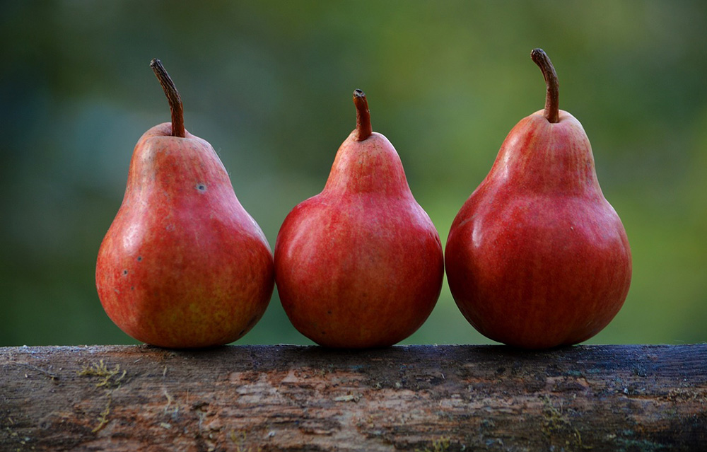 pears-1209915_1280