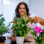 Stačí týchto pár krokov a izbovky dostanete do dokonalej formy