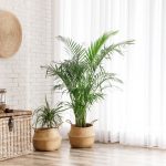 shutterstock 1611574189