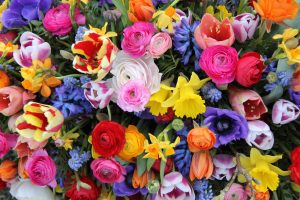 7 jarných kvetov v netypickom štýle