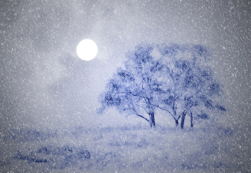 Lunárny kalendár pre záhradkárov - február 2019