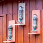 Druhý život pre plastovú fľašu: Závesné kŕmidlo