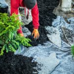 Naozaj potrebujeme mulčovacie textílie?