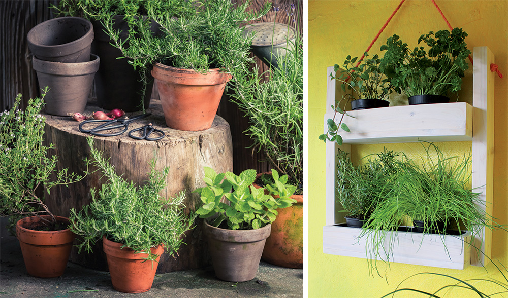 Záhrada na balkóne: Vyrobte si závesnú policu na bylinky