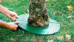Ochrana stromov Treeguard
