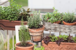 7 tipov pre záhradu na malom balkóne