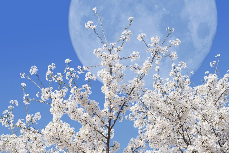 Lunárny kalendár pre záhradkárov - apríl 2019