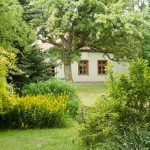 Prírodná záhrada sa opäť vracia do módy. Aké sú jej princípy?