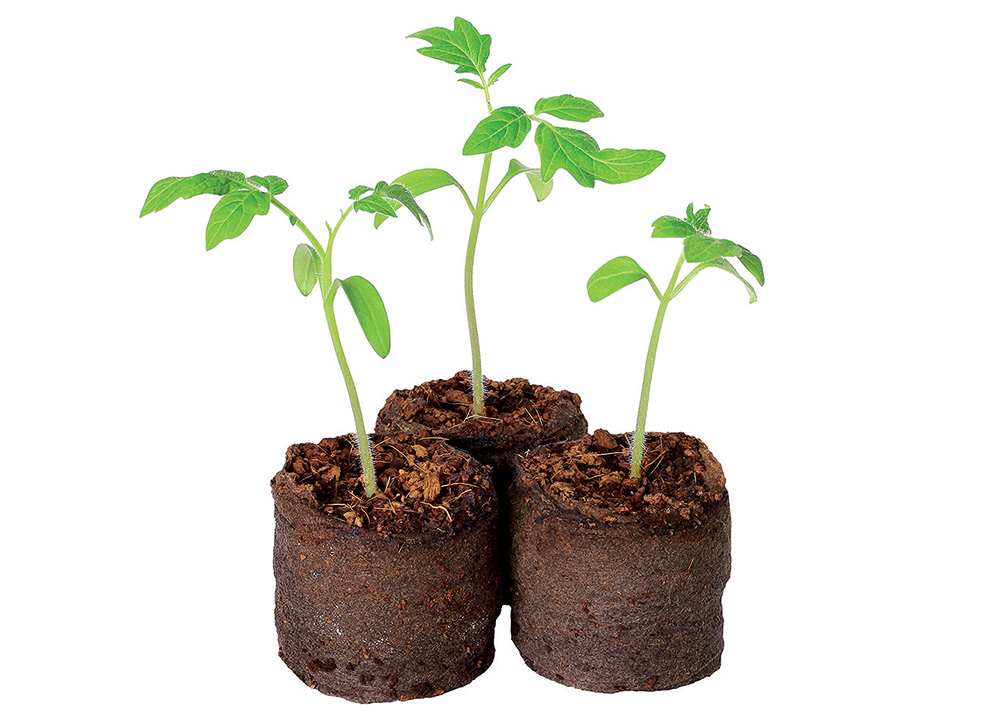 shutterstock_189737081